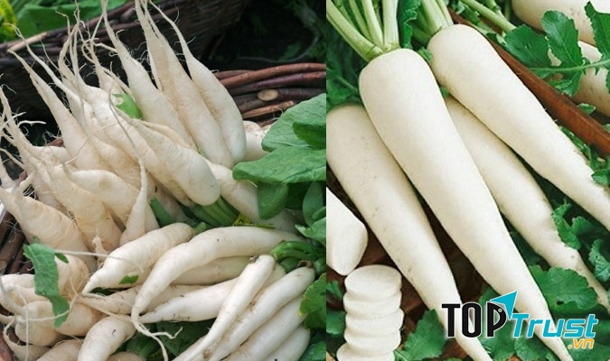 Củ cải giảm chứng buồn nôn thai nghén