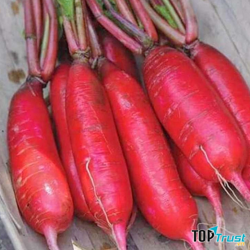 Ảnh minh họa - nguồn internet