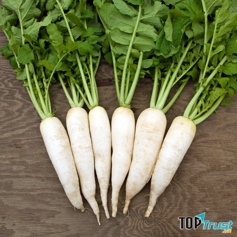 Củ cải đường