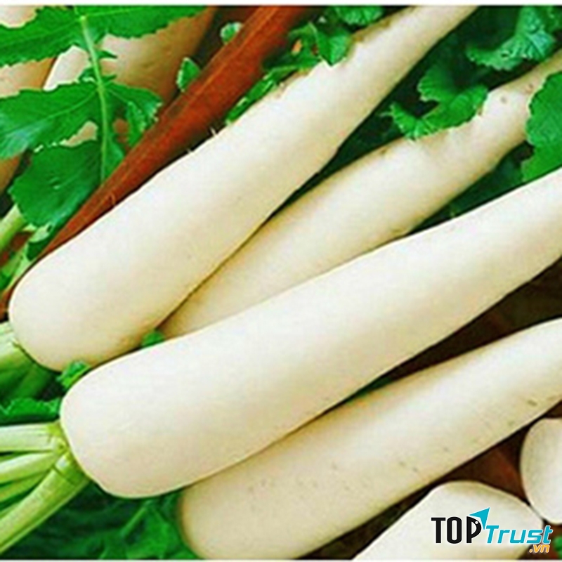 Củ cải trắng chứa nhiều vitamin và chất chống oxy hoá