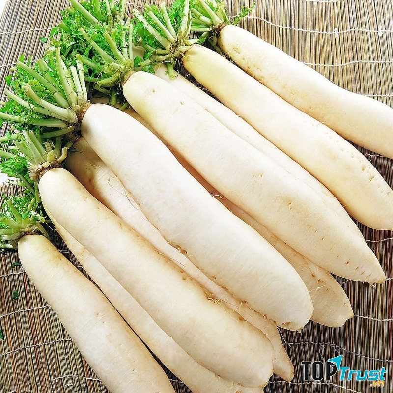 Củ cải trắng thanh nhiệt, lợi tiểu, tiêu đờm