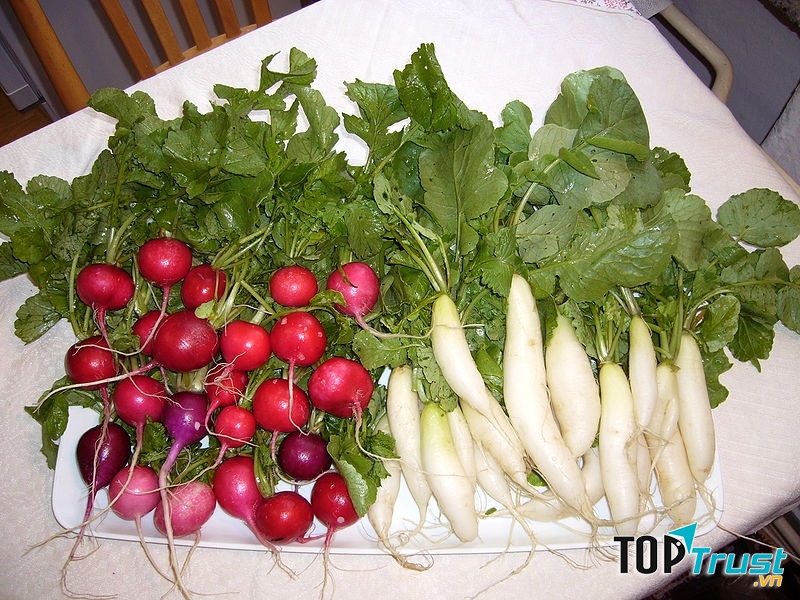 Nếu ăn cùng với trái cây, thành phần flavonoid có trong các loại trái cây chắc chắn sẽ được chuyển đổi thành một chất gây ảnh hưởng đến chức năng tuyến giáp.