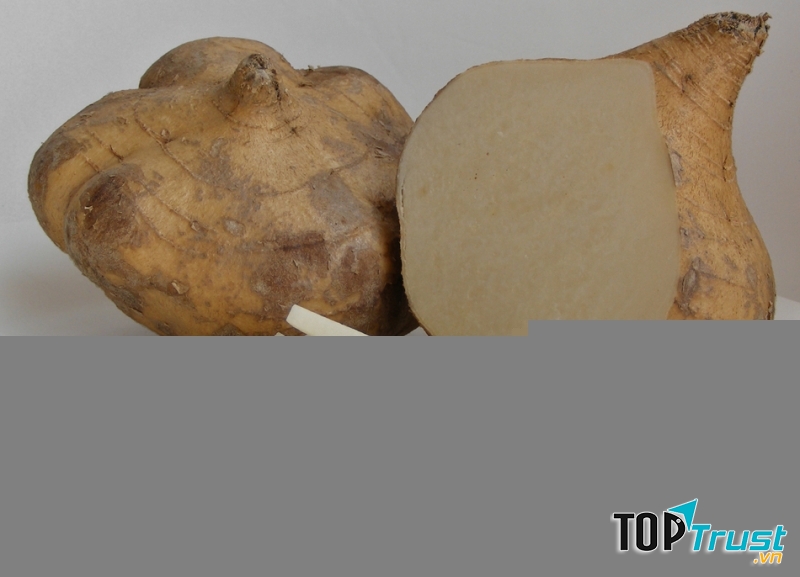 Ảnh minh họa - nguồn internet