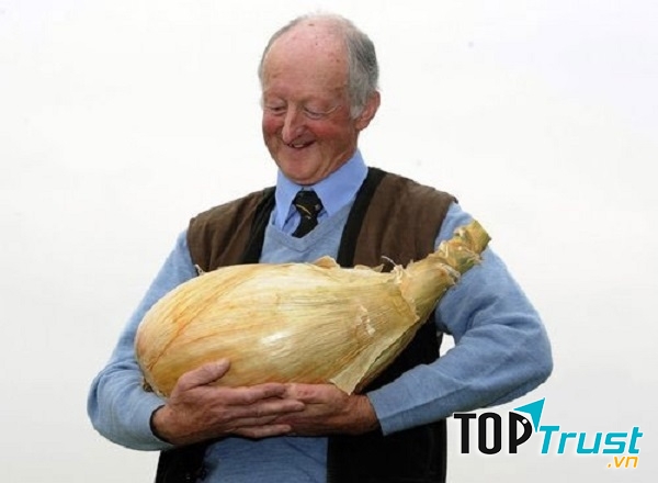 Ông Pete Glazebrook với củ hành nặng 8,1kg