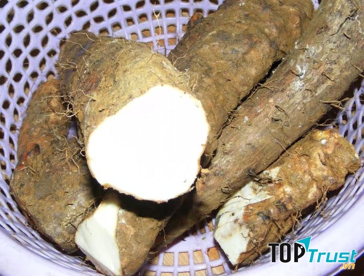 Hình ảnh củ mài