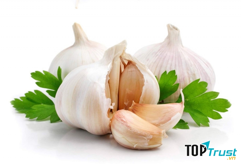 Các thành phần trong tỏi chứa chất kháng khuẩn cao, giảm sự sinh tồn của vi khuẩn trong cơ thể người.