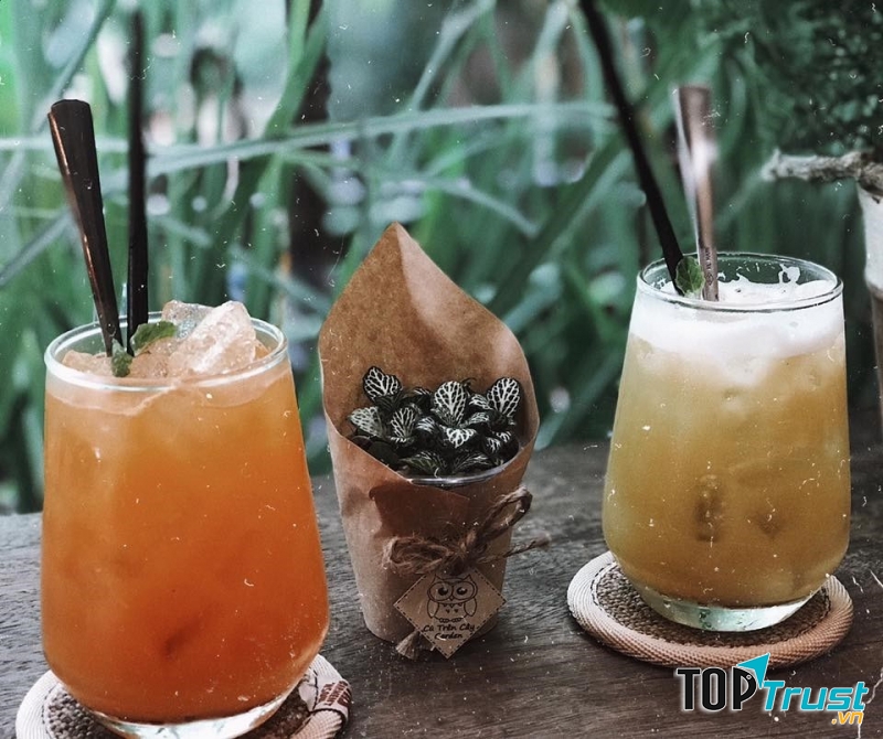 Cú Trên Cây Coffee