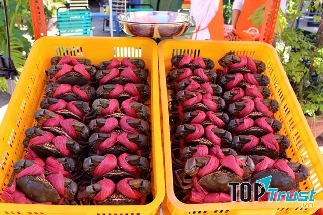 Cua biển Cà Mau tươi ngon