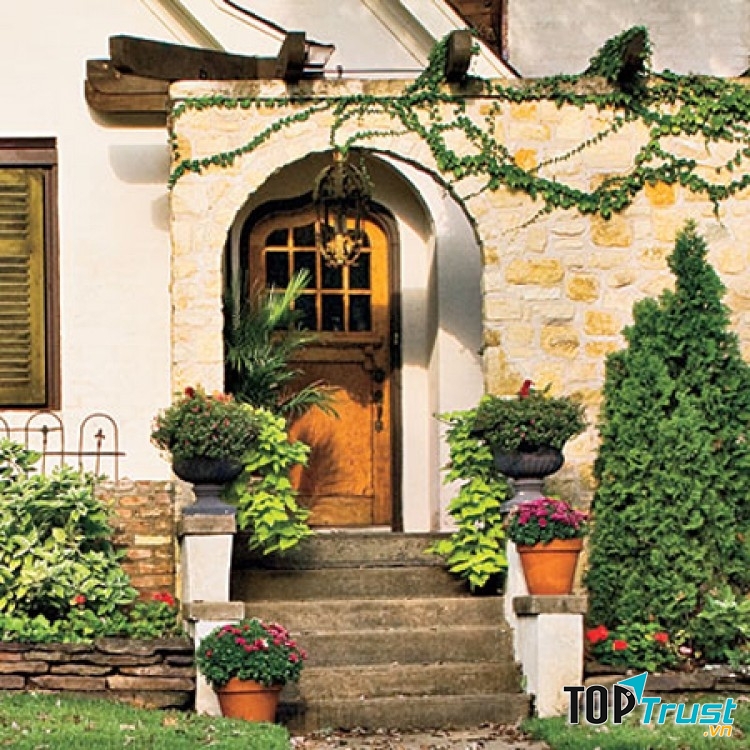 Ảnh minh họa (Nguồn Internet)