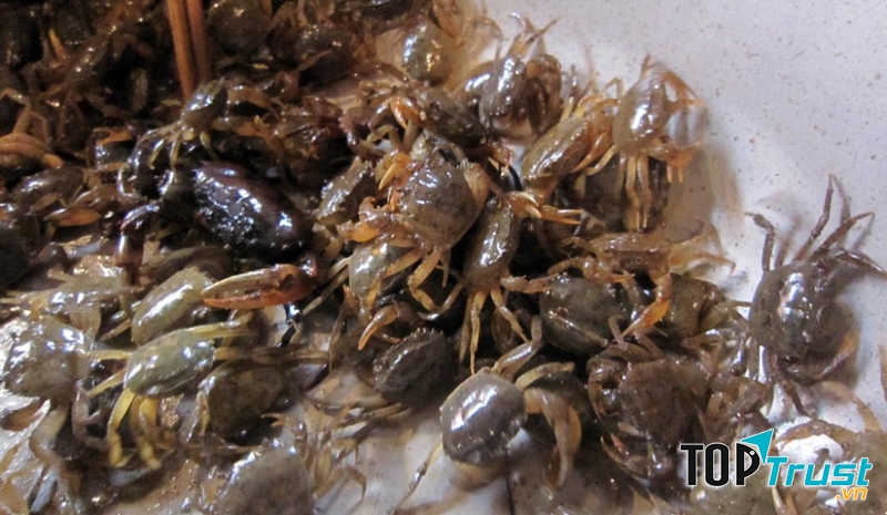 Cua đồng