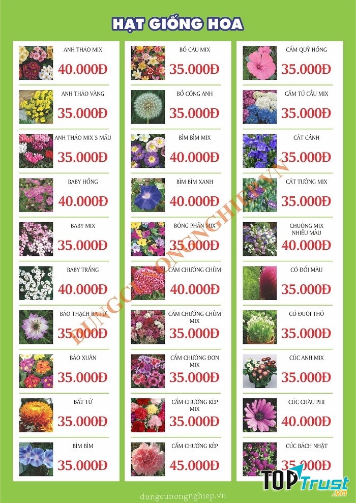 Cửa hàng bán hạt giống hoa ở TPHCM