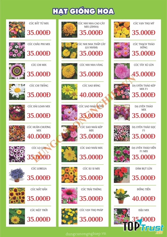 Cửa hàng bán hạt giống hoa ở TPHCM
