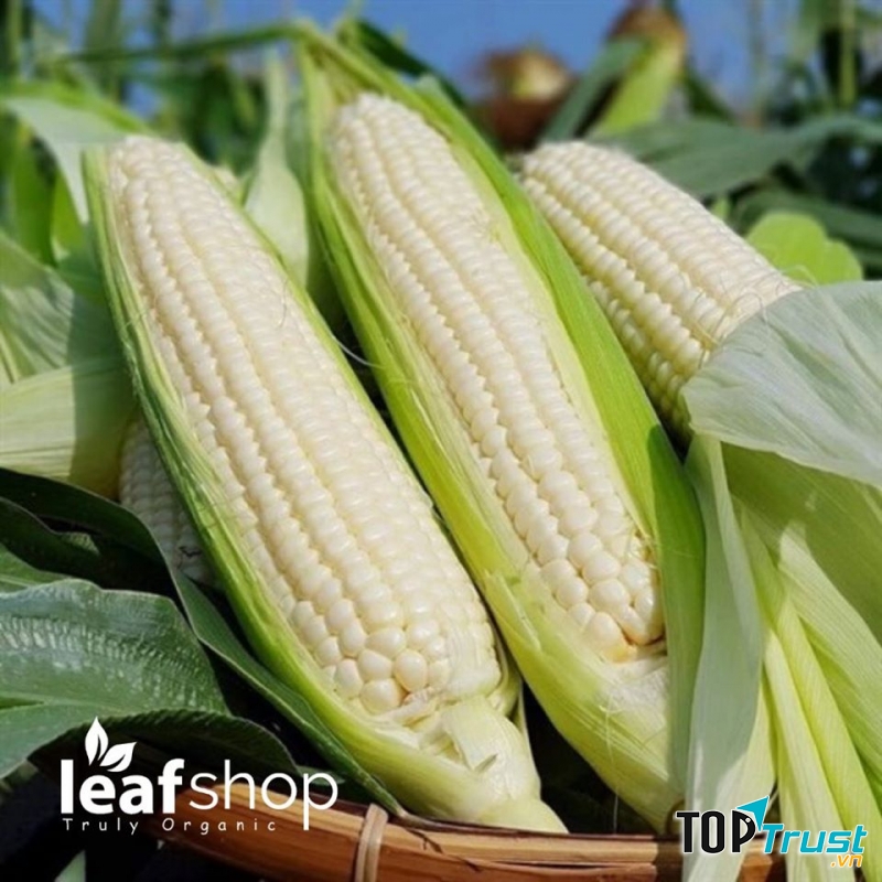 Cửa hàng bán sản phẩm hữu cơ Leafshop