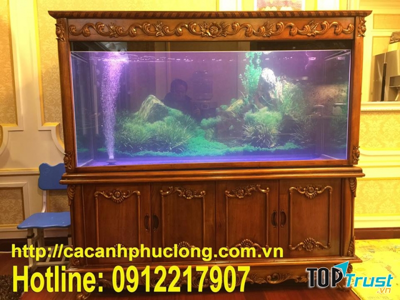 Cửa hàng cá cảnh Phúc Long