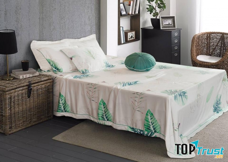 Chăn ga gối đệm Everon