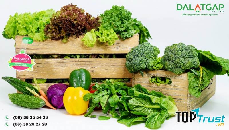 Rau củ tại Đà Lạt GAP