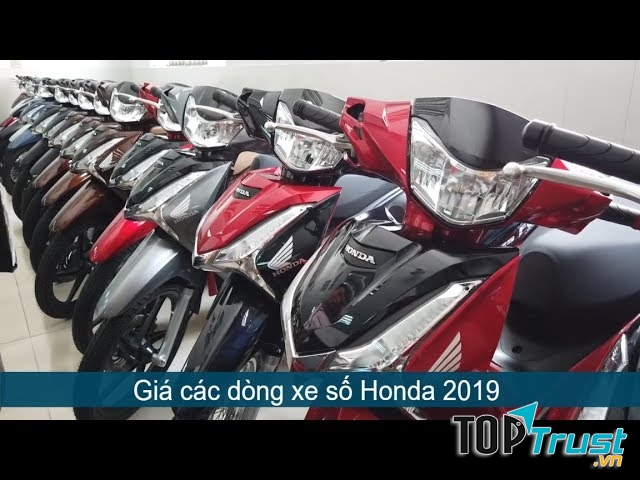 HEAD Fococev 1 luôn luôn hoàn thiện và nâng cao chất lượng dịch vụ nhằm củng cố lòng tin và thỏa mãn nhu cầu của khách hàng