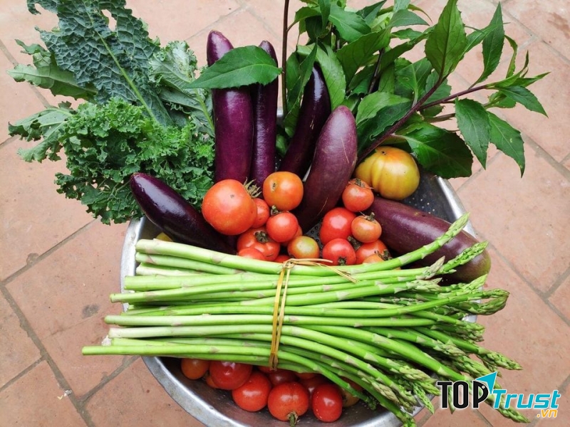 Cửa Hàng Gạo và Thực Phẩm Sạch Cô Tấm