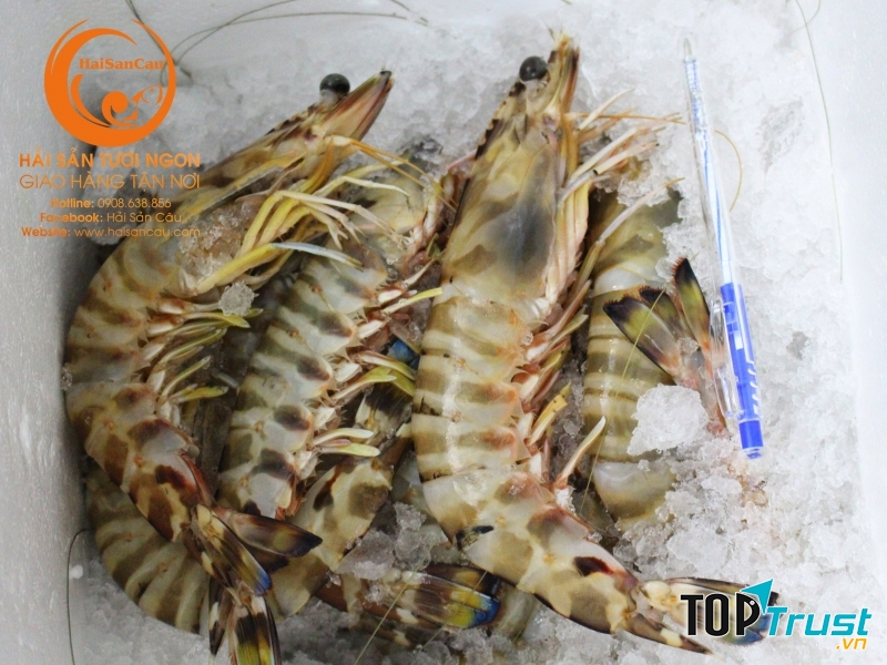 Tôm là mặt hàng rất được ưa chuộng tại Hải sản Câu