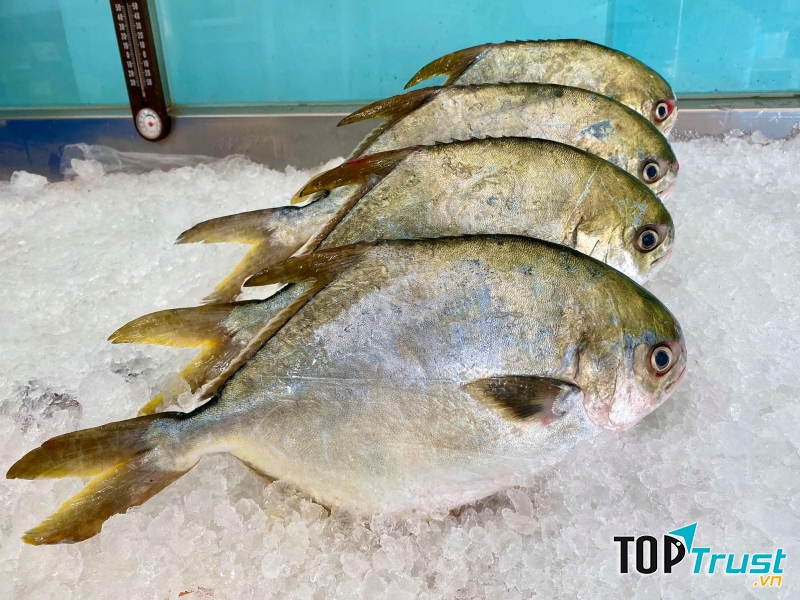 Cửa hàng Hải sản Gành Cá