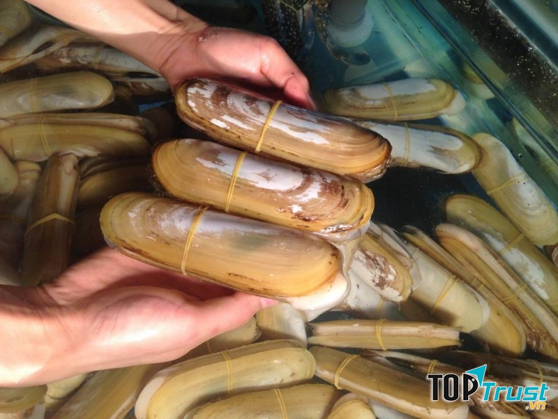 Ông Giàu luôn mang đến cho khách hàng những sản phẩm tươi ngon, chất lượng