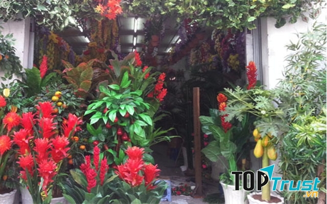 Cửa hàng hoa vải Anh Hiếu