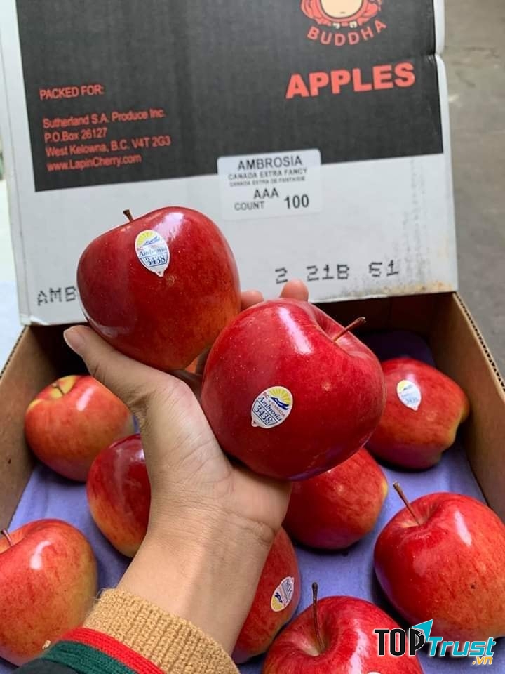 Cửa hàng Nhà Xanh