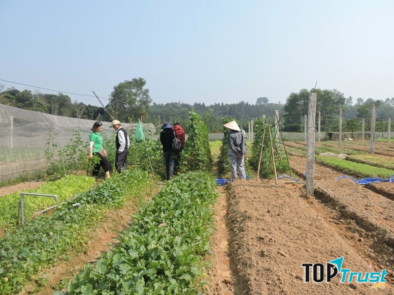 HESA - Thực phẩm sạch tuyển chọn ở Huế