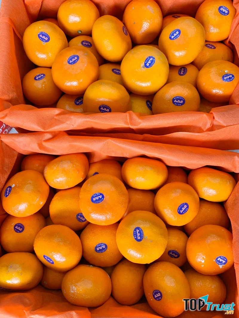 Cửa Hàng Rau Củ Quả an toàn Quế Anh