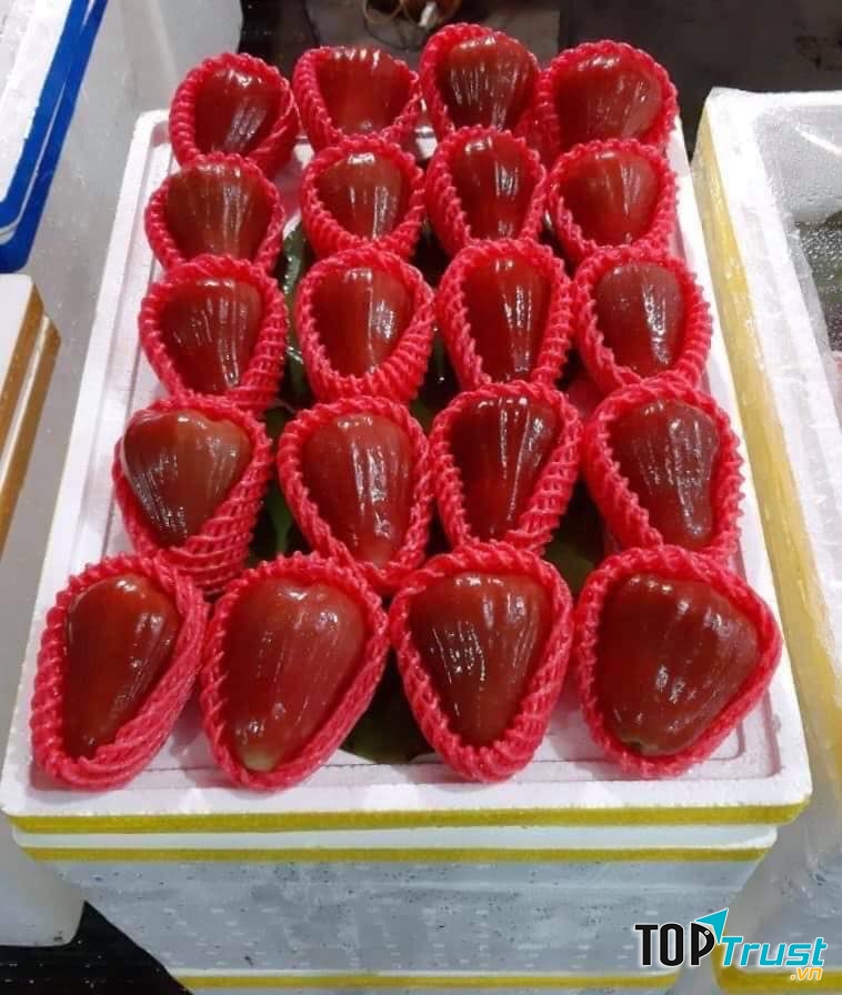 Cửa Hàng Rau Củ Quả an toàn Quế Anh