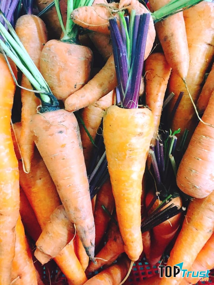 Cửa hàng rau hữu cơ OriFarm