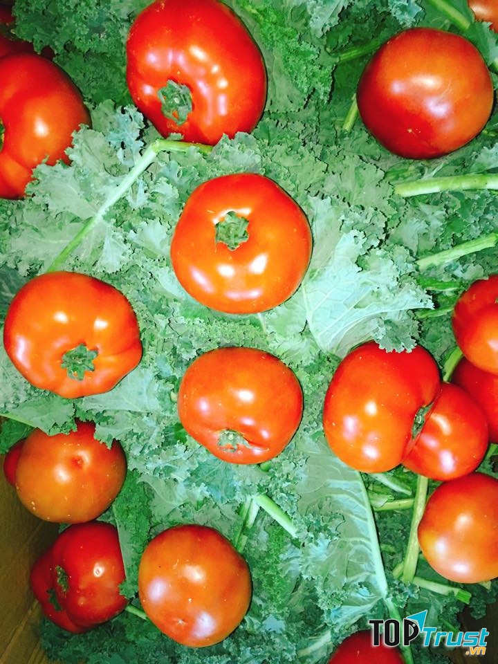 Cửa hàng rau hữu cơ OriFarm