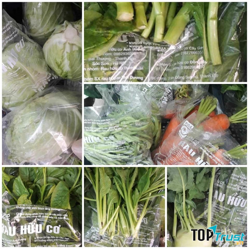 Rau hữu cơ Tràng An