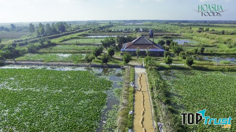 Viễn Phú Green Farm