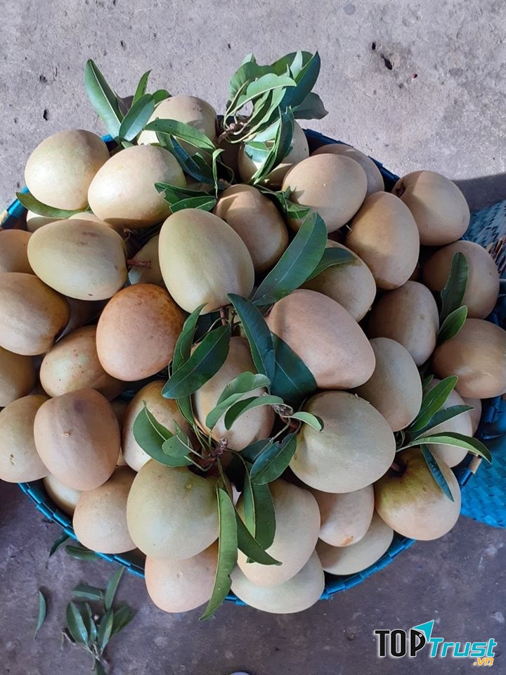 Cửa  Hàng Thực Phẩm Sạch Cô Trinh