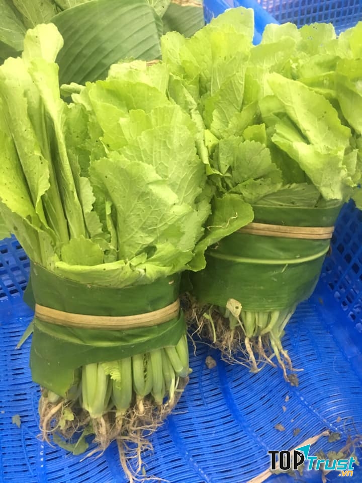 Cửa hàng Thực phẩm sạch Nguyên Xưa