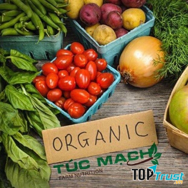 Cửa Hàng Thực Phẩm Sạch Túc Mạch