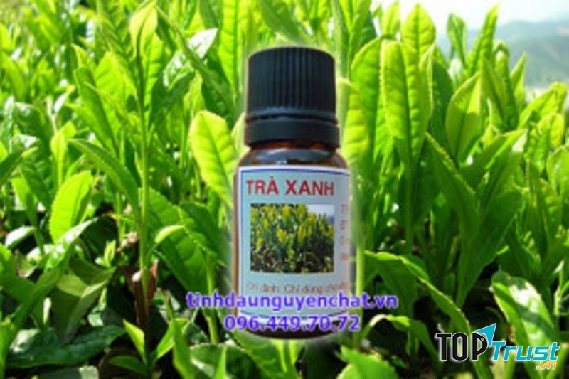 Tinh dầu trà xanh (hình ảnh lấy từ website của cửa hàng Kim Thư)