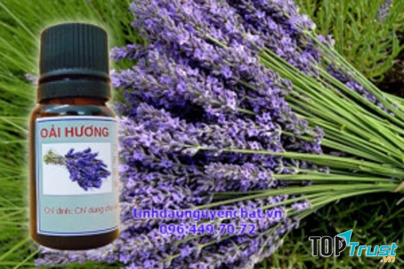 Tinh dầu hoa oải hương (hình ảnh lấy từ website của cửa hàng Kim Thư)