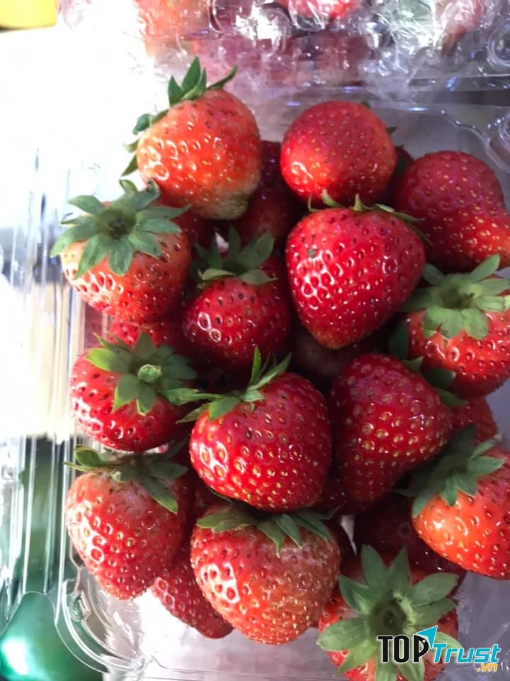 Cửa Hàng Trái Cây Hương Bộ