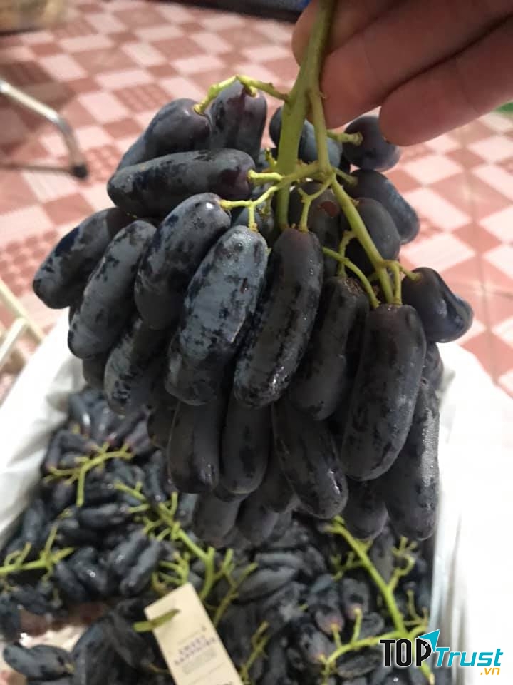 Cửa Hàng Trái Cây Hương Bộ