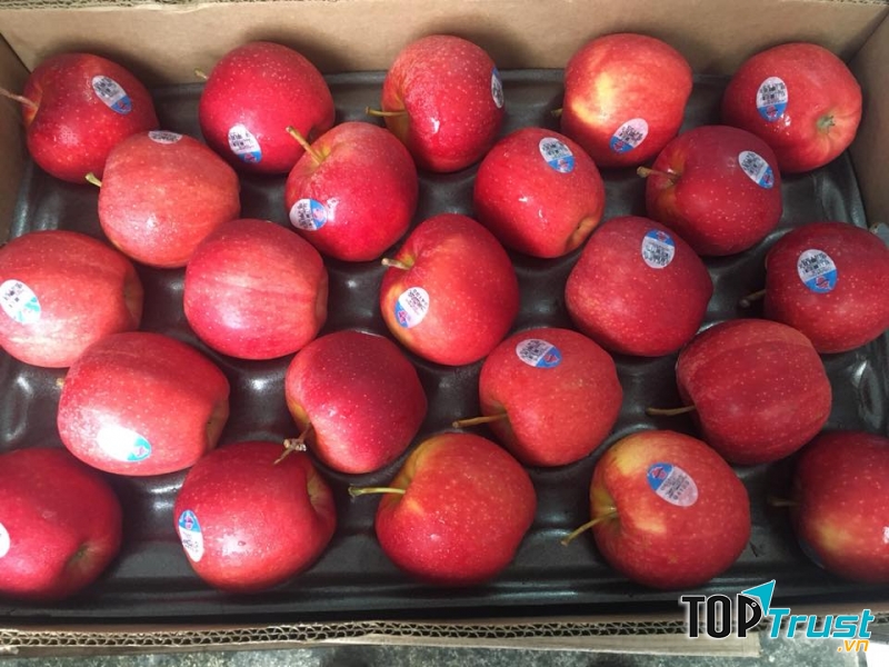 Cửa hàng trái cây nhập khẩu - thực phẩm dinh dưỡng Ken Fruit Ken Food