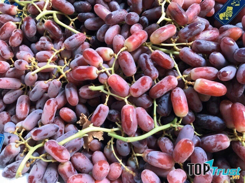 Cửa hàng trái cây sạch 9999