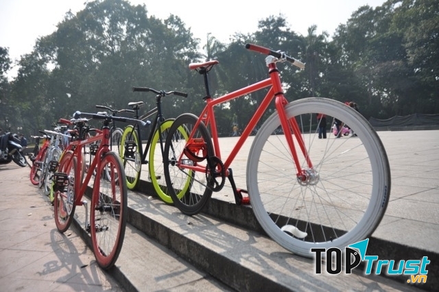 Việt Ngọc Phương là cửa hàng trung tâm phân phối các dòng xe đạp thể thao, xe đạp điện, xe máy điện và phụ tùng chính hãng tại khu vực miền Trung