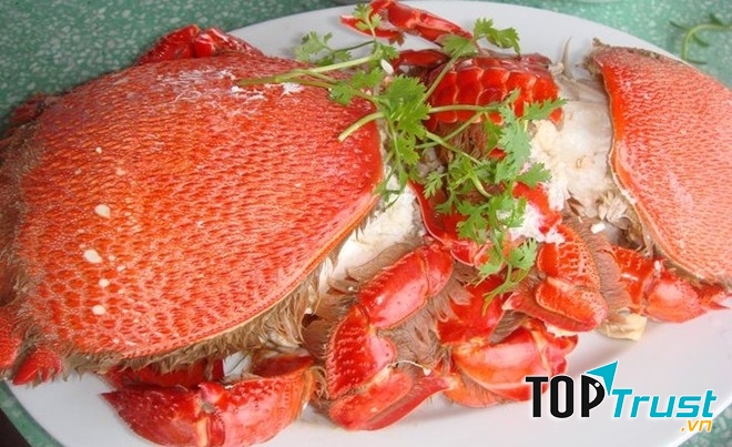 Cua Hoàng Đế là một loài cua rất quý hiếm.