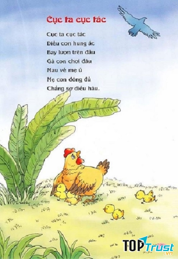 Ảnh minh họa (nguồn internet)