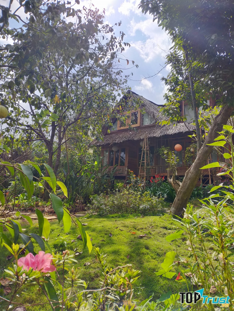Củi Homestay