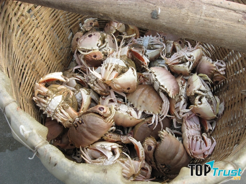 Cúm núm món ăn dân dã của người dân vùng biển quê tôi