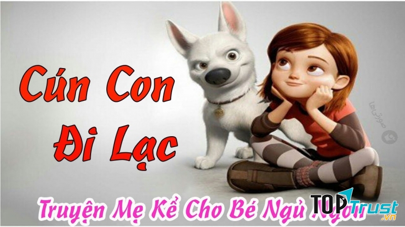 Cún con đi lạc