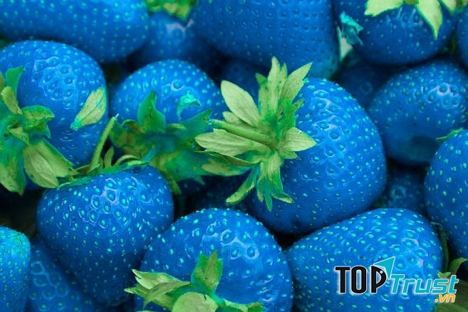 Để Bảo Bình càng may mắn hơn trong năm 2017 thì nên kết thân cùng với những gam màu xanh da trời